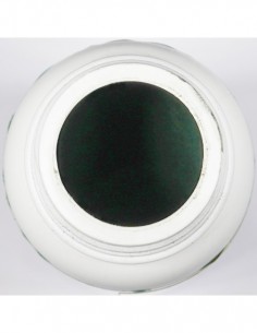 DXN Spirulina Poeder – 100% Puur Plantaardig Eiwit – 50g 2