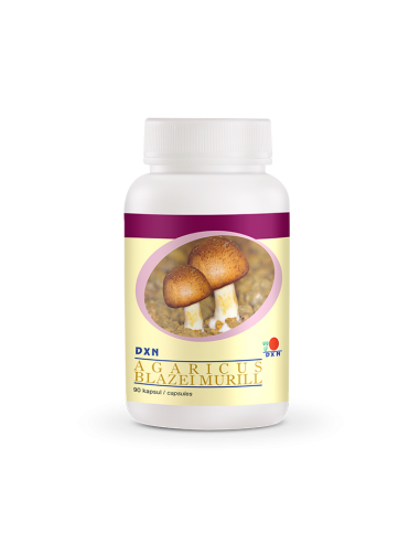 Agaricus Blazei Murill