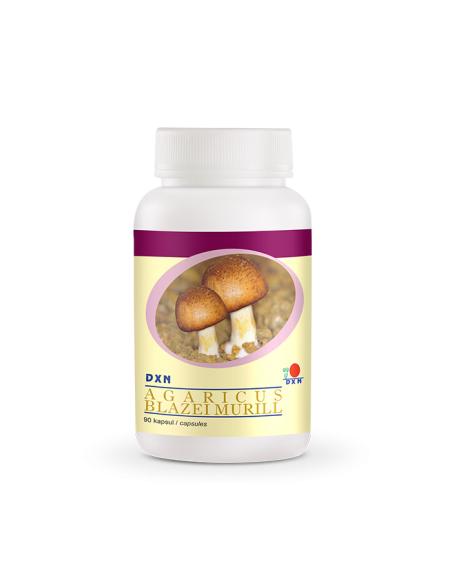 Agaricus Blazei Murill