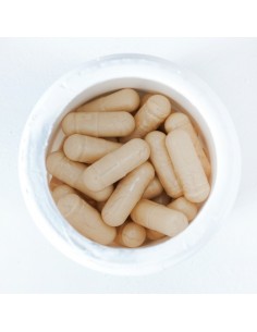 Agaricus Blazei Murill 2