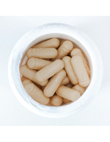 Agaricus Blazei Murill