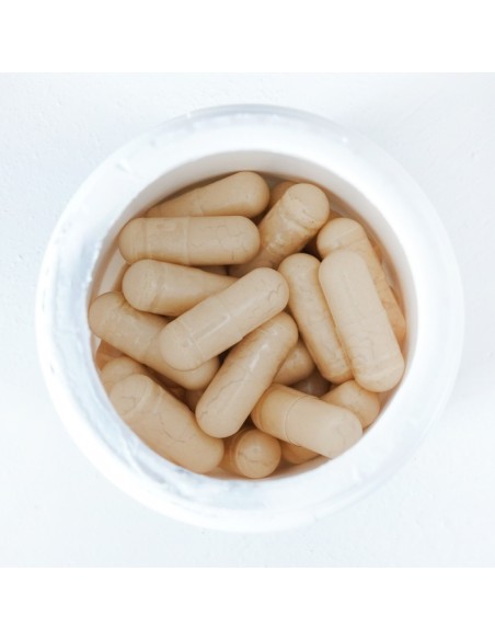 Agaricus Blazei Murill