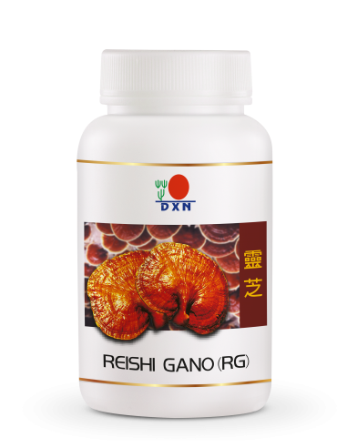 Reishi Gano RG 90