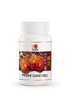Reishi Ganoderma RG 30 Capsules – Natuurlijk Immuunsysteem Supplement | Beatus Natura