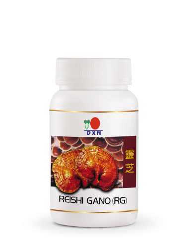 Reishi Ganoderma RG 30 Capsules – Natuurlijk Immuunsysteem Supplement | Beatus Natura