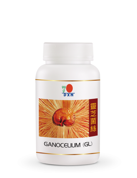 Ganocelium GL – 30 Capsules Beatus Natura – Natuurlijke Hersenen & Cel Ondersteuning