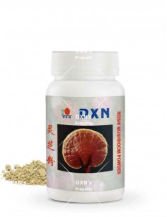 Reishi Mushroom Powder 22g